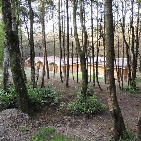 Wyldwood Lodge Cheadle  Eksteriør billede