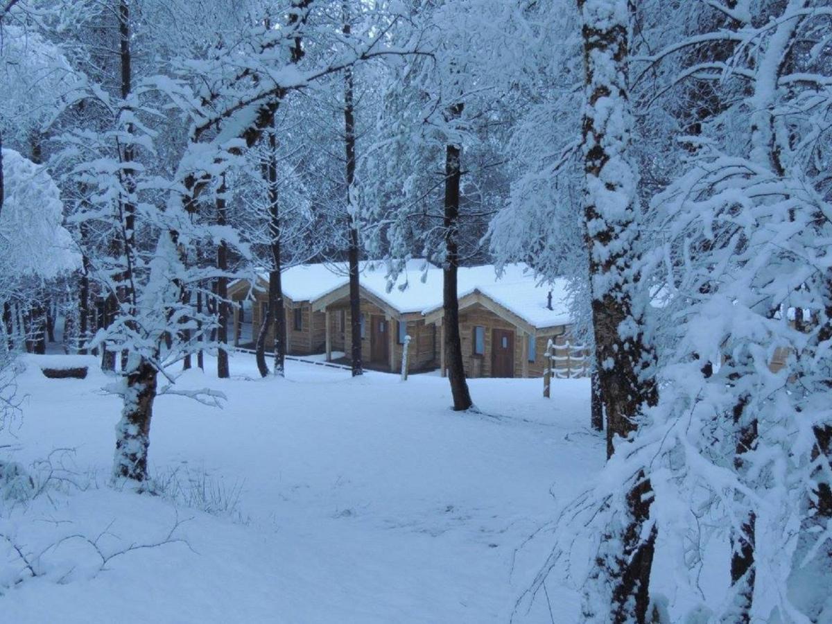 Wyldwood Lodge Cheadle  Eksteriør billede