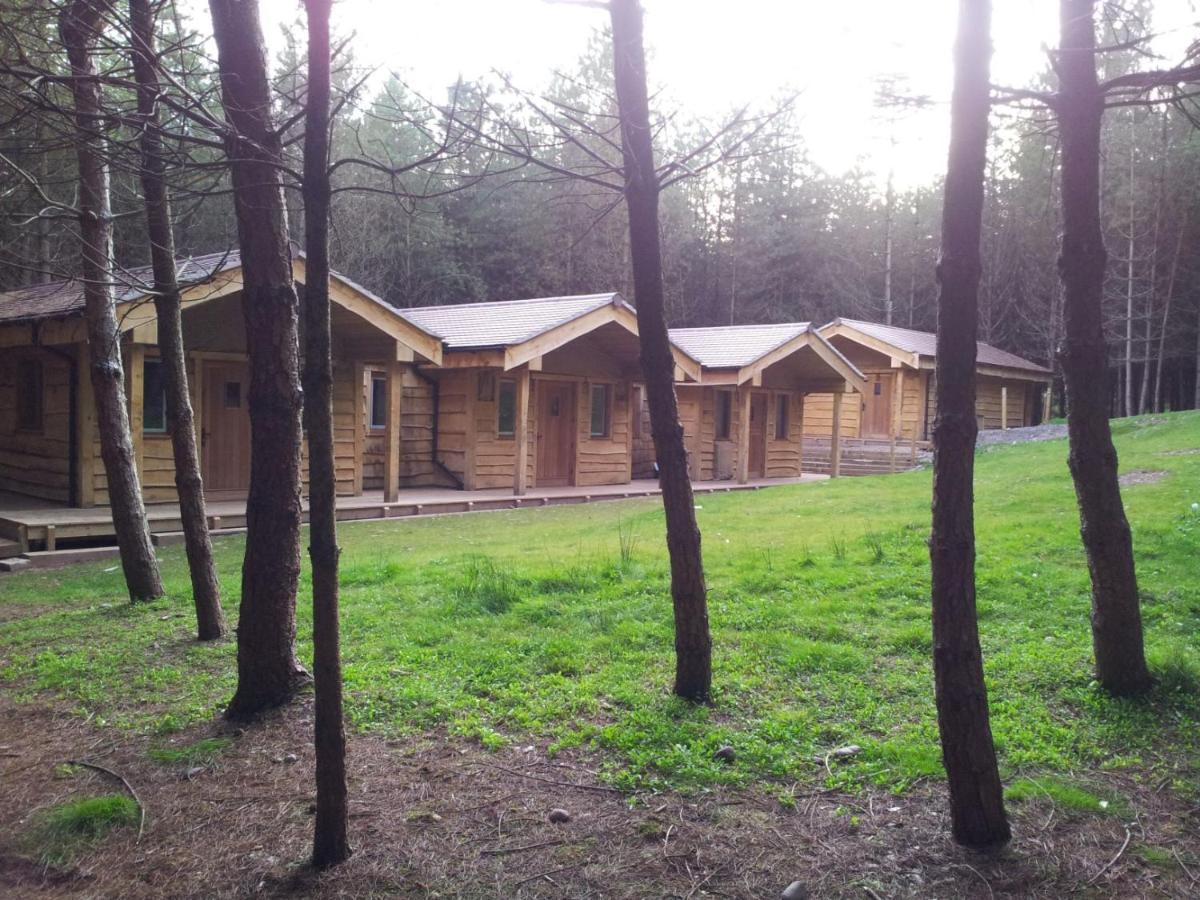 Wyldwood Lodge Cheadle  Eksteriør billede