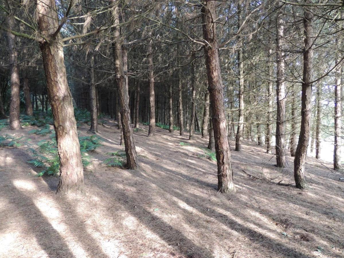 Wyldwood Lodge Cheadle  Eksteriør billede