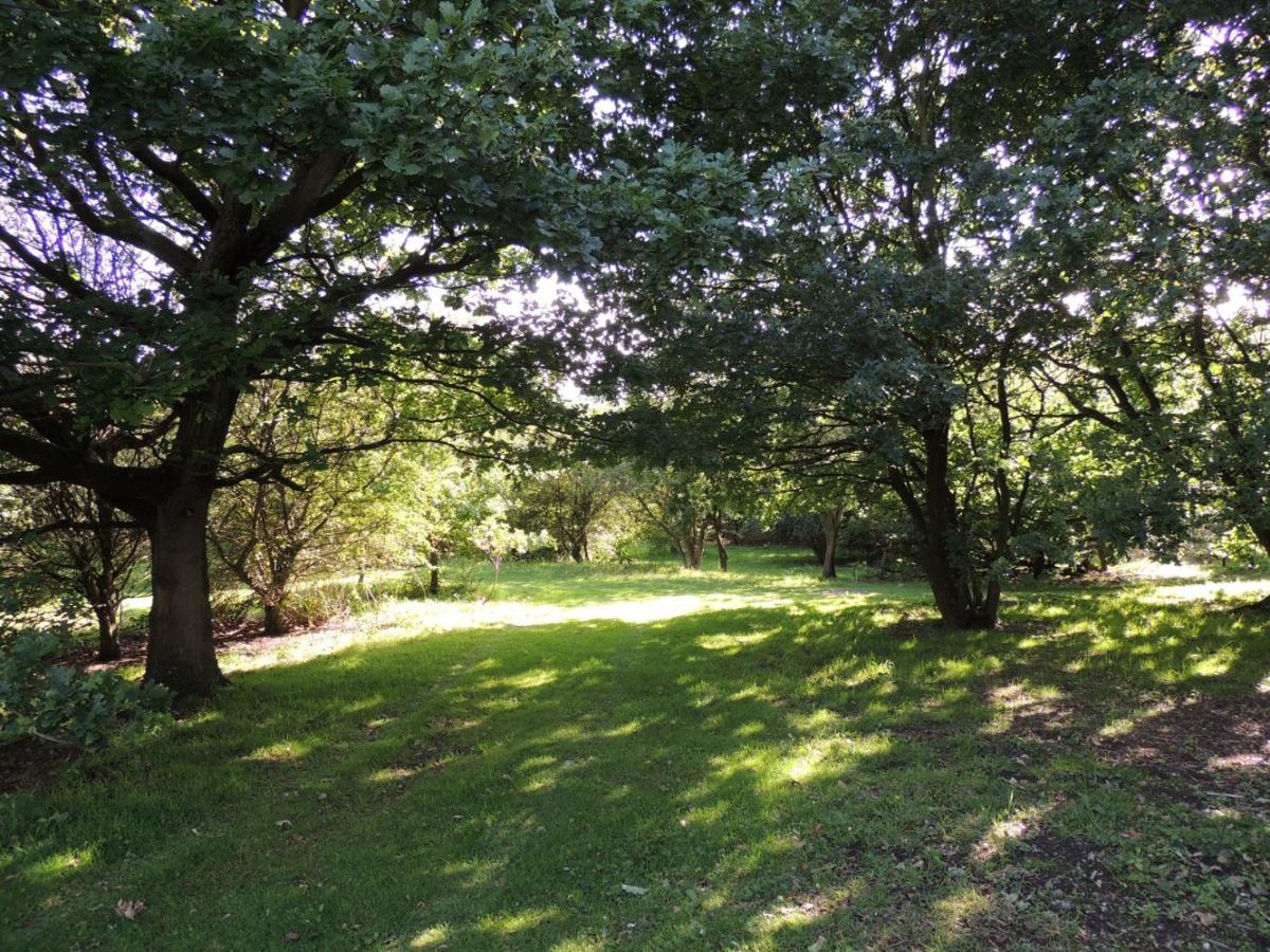 Wyldwood Lodge Cheadle  Eksteriør billede