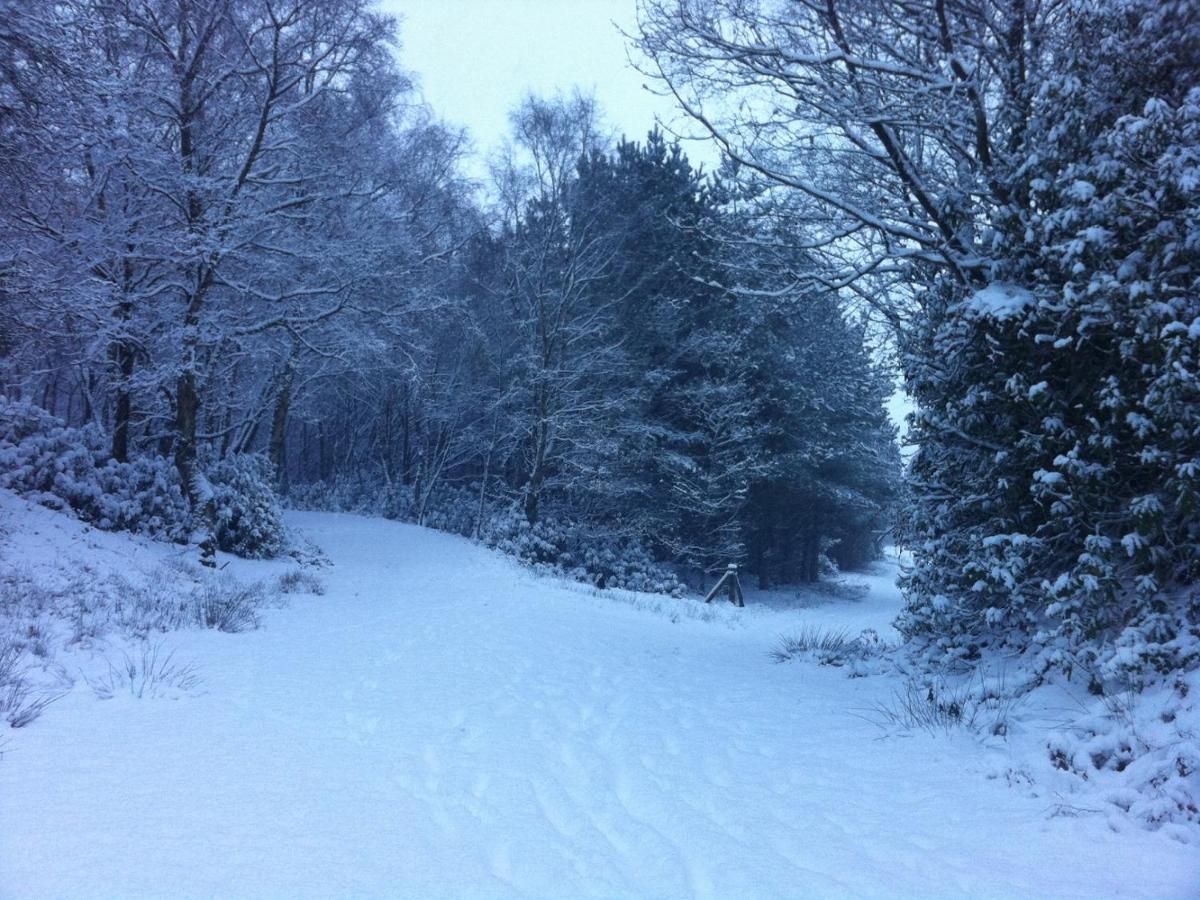 Wyldwood Lodge Cheadle  Eksteriør billede
