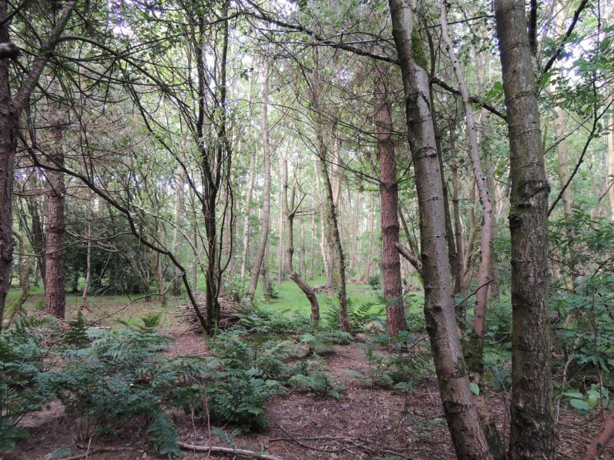 Wyldwood Lodge Cheadle  Eksteriør billede